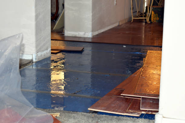 Professional Basement Flood Cleanup technician working in Boyd, TX